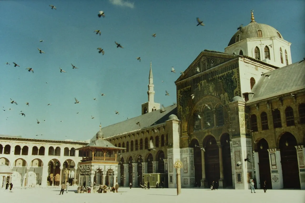 السياحة الاستثمارية